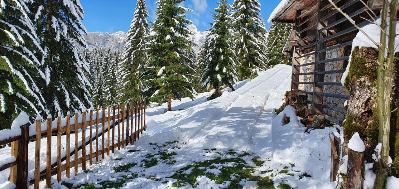 Villa Prbajtnjeko à Bohinj Extérieur photo