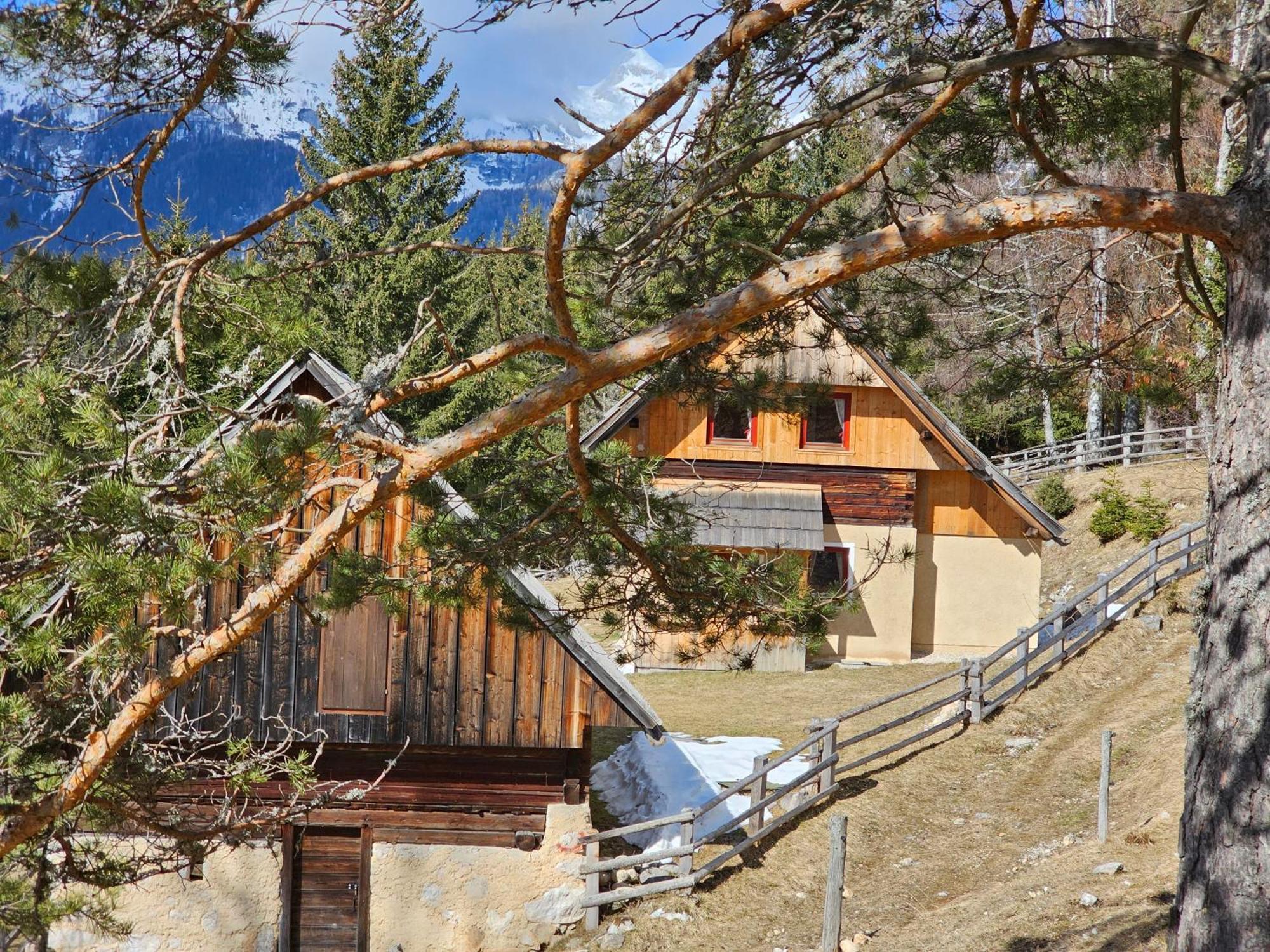 Villa Prbajtnjeko à Bohinj Extérieur photo