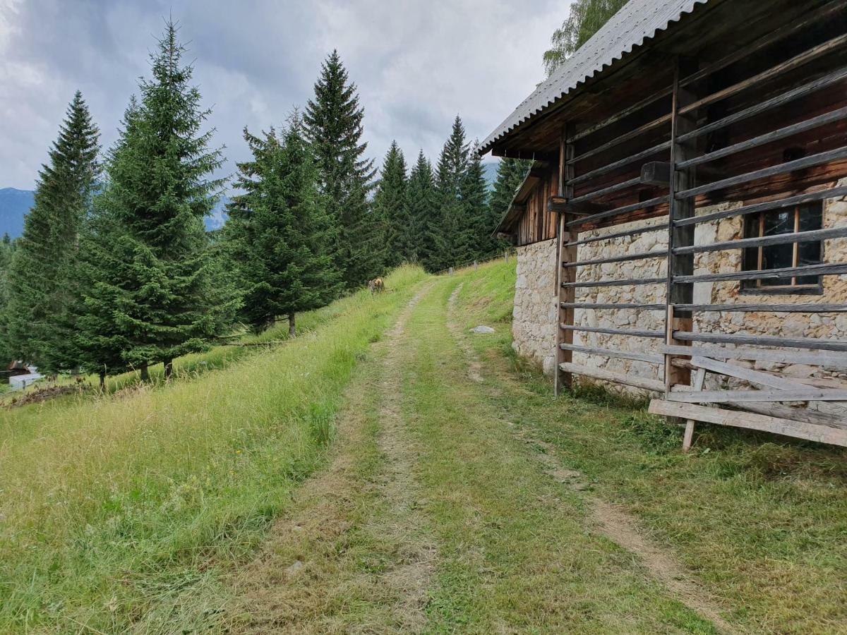 Villa Prbajtnjeko à Bohinj Extérieur photo